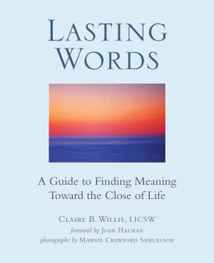 Lastin Words book by Claire B Willis